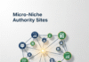 Micro-Niche Authority Site: กลยุทธ์การทำเงินจากเว็บไซต์เฉพาะทางที่ไม่ต้องมีผู้เข้าชมหลักล้าน