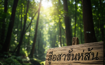 คำคม: ถ้าคุณไม่ยอมเสี่ยง คุณก็ไม่สาม…