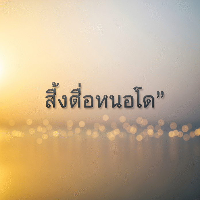 img-1767006943849